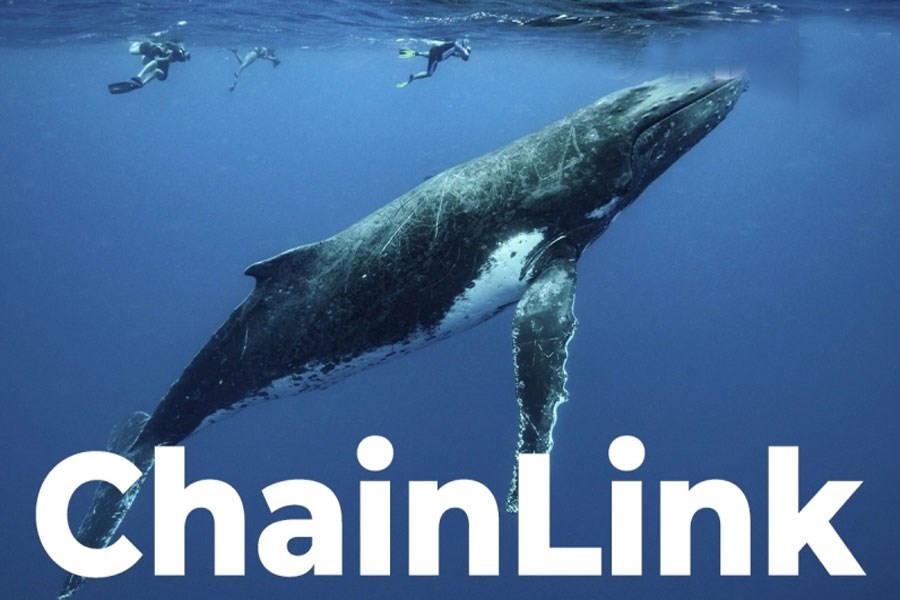 نهنگ های لینک تمایلی به نگهداری کوین ها ندارند