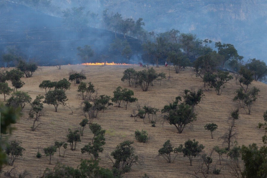 آتش‌سوزی جنگل‌های ارسباران برای اولین‌بار شبانه خاموش شد