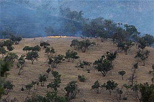 آتش‌سوزی جنگل‌های ارسباران برای اولین‌بار شبانه خاموش شد