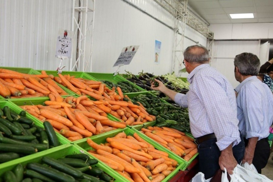 تصویر قیمت هویج به زودی به زیر 10 هزار تومان می‌رسد