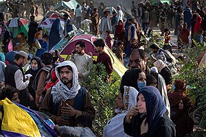 فقدان لویاتان افغانی