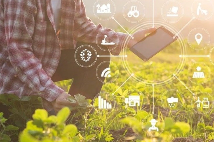 تصویر هوش مصنوعی چه کمکی به کشاورزی می‌کند؟