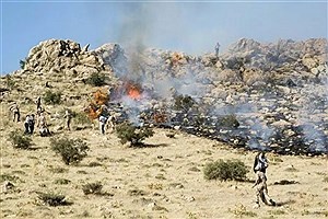 شعله ور شدن دوباره آتش در کوه کرک بناری شهرستان چرام کهگیلویه و بویراحمد