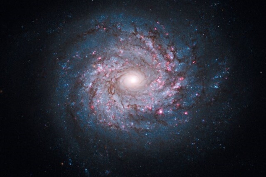 تصویر یک کهکشان مارپیچی در صورت فلکی دب اکبر