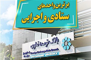 برترین های بانک توسعه تعاون انتخاب شدند