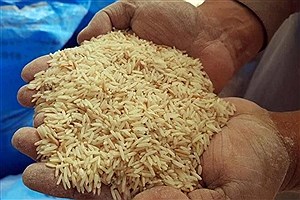 افزایش 79 درصدی قیمت برنج تایلندی&#47; محصول داخلی 39 درصد گران شد