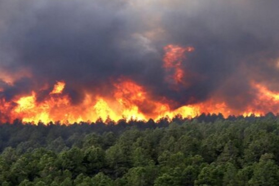 افزایش خطر آتش‌سوزی در عرصه‌های منابع طبیعی گلستان