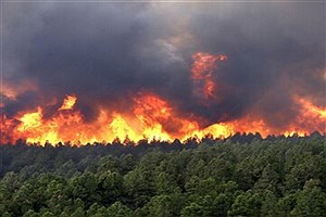 افزایش خطر آتش‌سوزی در عرصه‌های منابع طبیعی گلستان