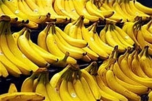 واردات موز بدون وقفه در گمرک‌ها ادامه دارد