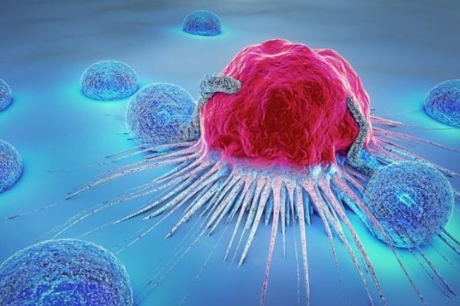 تصویر این ویروس‌ها با سرطان مقابله می‌کنند