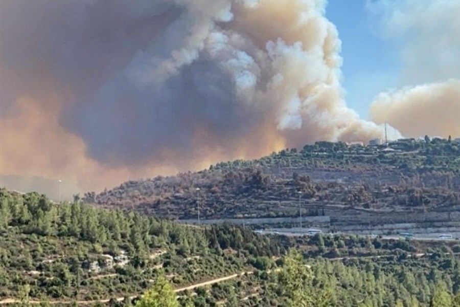 تصویر مهار آتش‌سوزی پارک جنگلی کرخه