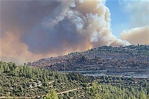 مهار آتش‌سوزی پارک جنگلی کرخه