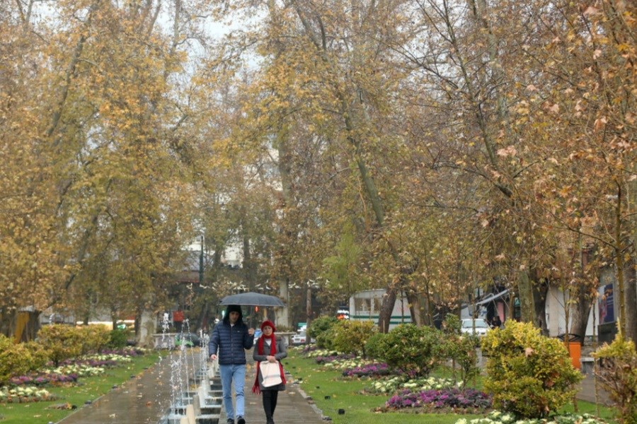 تصویر در تهران چقدر باران بارید؟