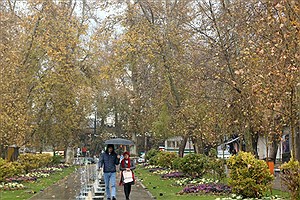 در تهران چقدر باران بارید؟
