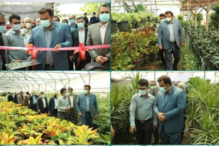 افتتاح واحد تولیدی گل و گیاه در مازندران با حمایت بانک کشاورزی