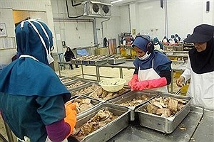 لاکچری شدن تن ماهی در پی افزایش قیمت &#47; حذف کنسرو تن از سبد غذایی خانواده های کم درآمد