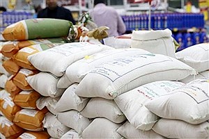 ۵۰۰ تن برنج وارداتی تنظیم بازار  اختصاص داده شد