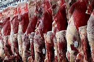 گوشت قزمز گران می شود؟