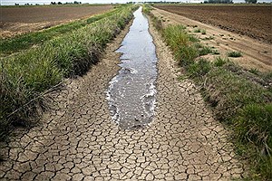 کمبود آب، تغییر الگوی کشت در حوزه کشاورزی را ضروری کرد