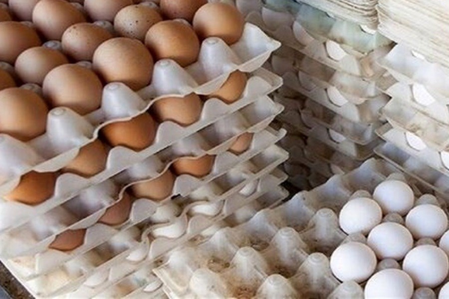 ‭‭‭‭‭‭۱۰۰‬‬‬‬‬‬ درصد تخم مرغ مورد نیاز از سایر استان‌ها تأمین می‌شود