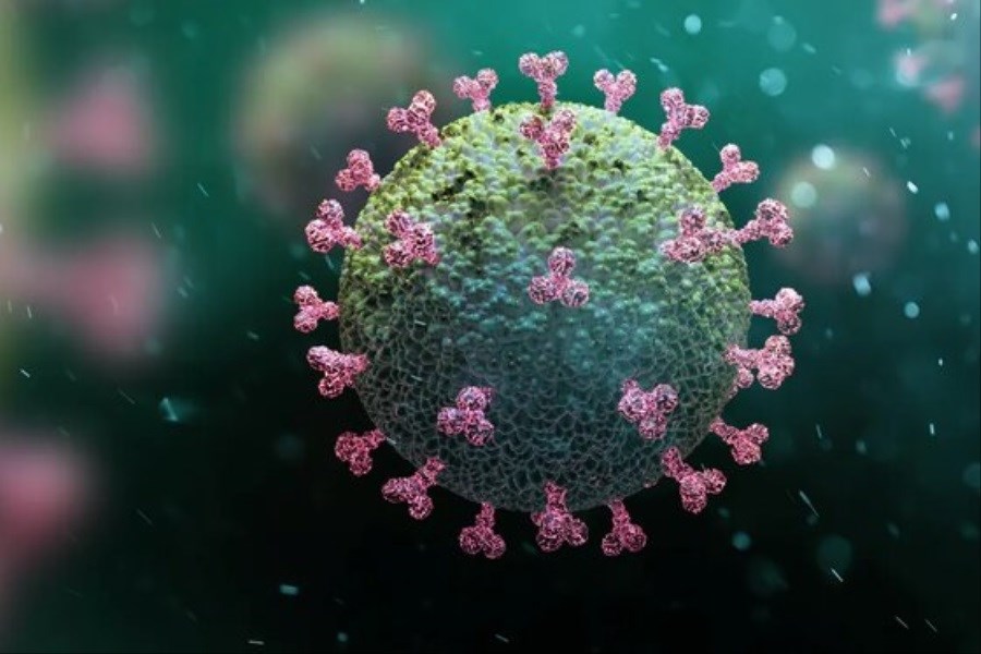 جهش‌های ویروس کرونا سیستم ایمنی بدن را تضعیف می‌کند؟