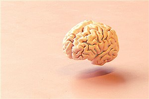 5 شیوه حفاظت از سلامت ذهن و پیشگیری از زوال زودهنگام مغز