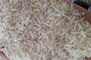 مقصر وضعیت آشفته بازار برنج کیست؟