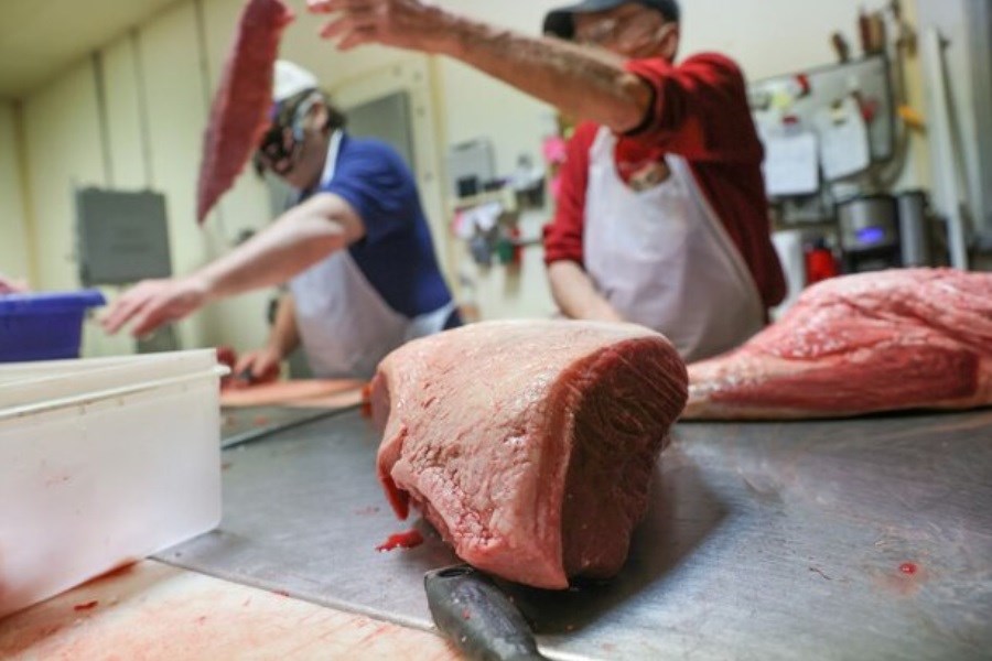 تصویر افزایش 43 درصدی عرضه گوشت قرمز