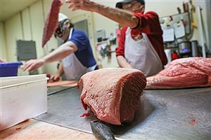 افزایش 43 درصدی عرضه گوشت قرمز