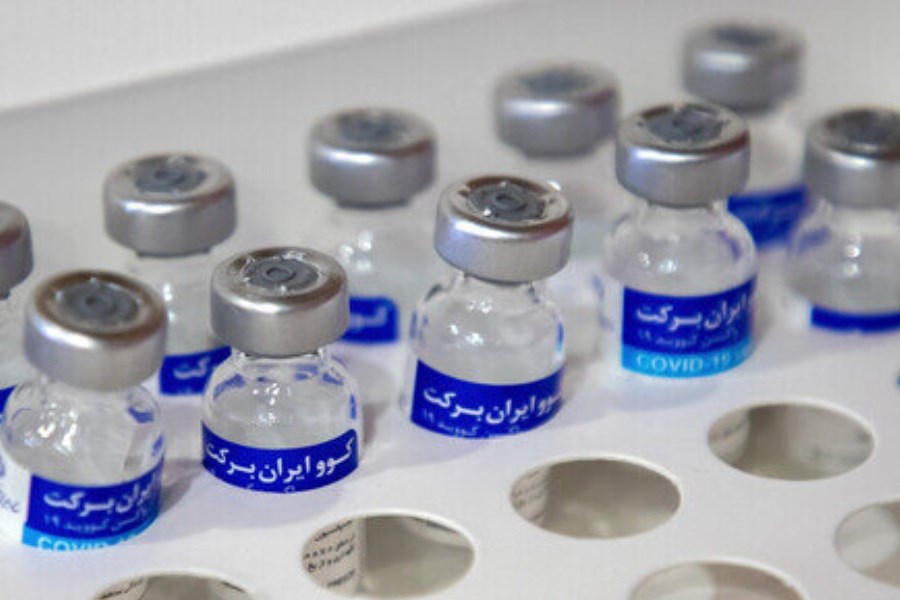 تصویر واکسن برکت، امروز در خراسان جنوبی