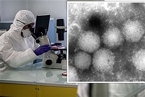 کشف ویروس جدید در ژاپن