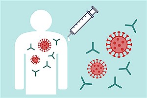افراد واکسینه شده ویروس را کمتر منتقل می‌کنند