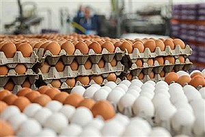تصویر  قیمت تخم مرغ در بازار چقدر است؟