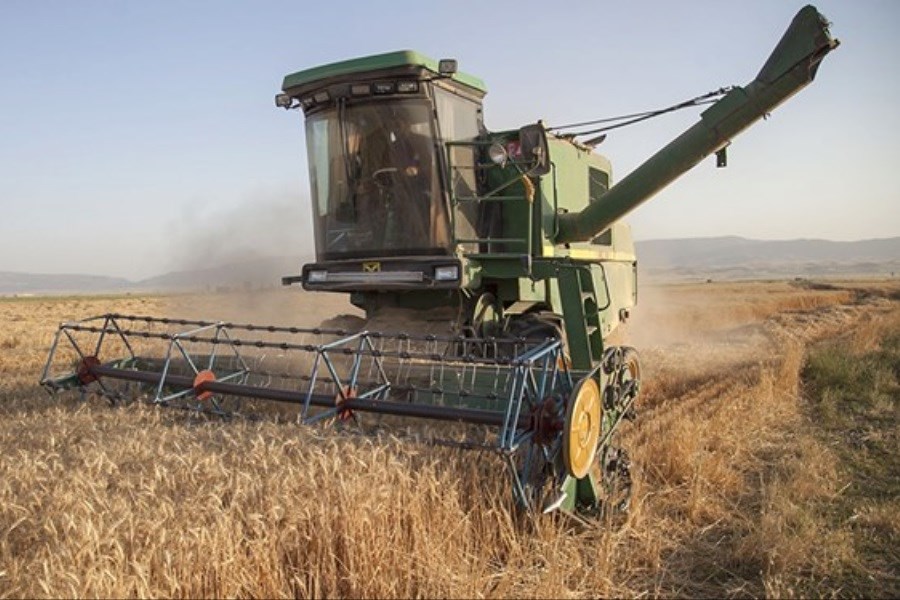 تصویر خرید گندم مازاد کشاورزان توسط جهاد کشاورزی