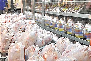 دغدغه ای به نام تنظیم بازار مرغ