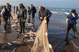هشدار درباره صید بی‌رویه در دریا