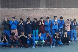 دستگیری ۱۹ عضو از یک شرکت هرمی در جنوب تهران