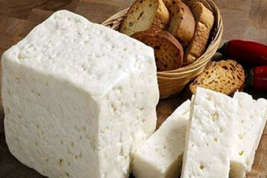 هر روز پنیر خوردن برای بدن مفید است یا مضر؟