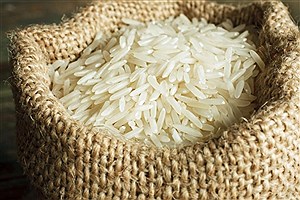 آعاز واردات برنج از ۱۵ آذر