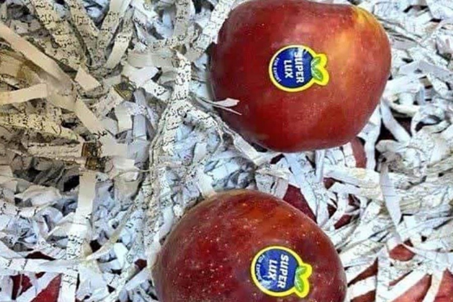 تصویر هتک حرمت به قرآن در بین میوه‌های صادراتی! &#47; شرکت تجاری باید شناسایی شود