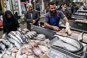 علت افزایش قیمت ماهی چیست؟&#47; عمده فروشان مخالف صددرصد گرانی ها!