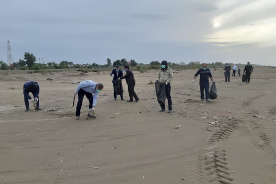 پاکسازی بخشی از ساحل دریای خزر توسط کارکنان بانک کشاورزی