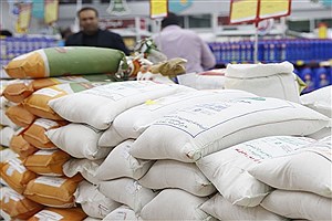 واردات ۶۶۰ هزار تن برنج در 8 ماه گذشته