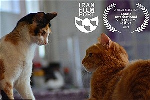 مستندهای ایرانی در راه کره جنوبی