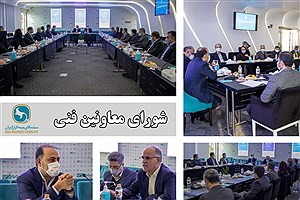 برگزاری جلسه شورای معاونین فنی سندیکای بیمه گران ایران در بیمه دی