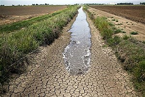 تصویر  بحران آب در بخش کشاورزی