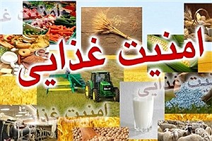 تشکیل «قرارگاه امنیت غذایی» در وزارت کشاورزی