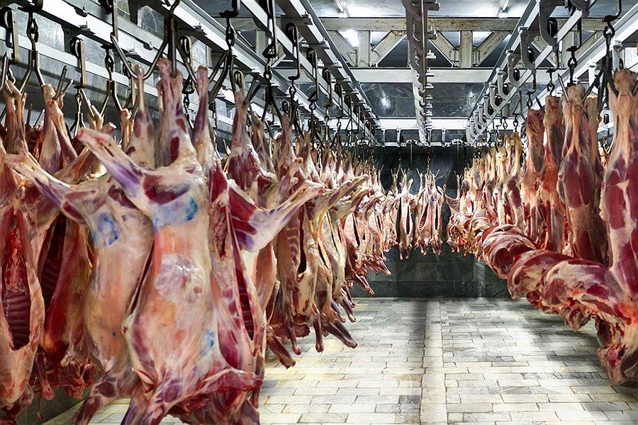 افزایش عرضه گوشت قرمز در کشتارگاه‌های رسمی کشور