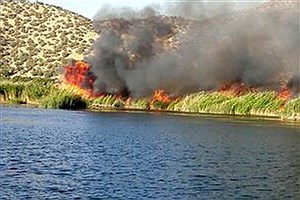 آتش سوزی نیزار‌های دریاچه زریبار مریوان+ ویدئو