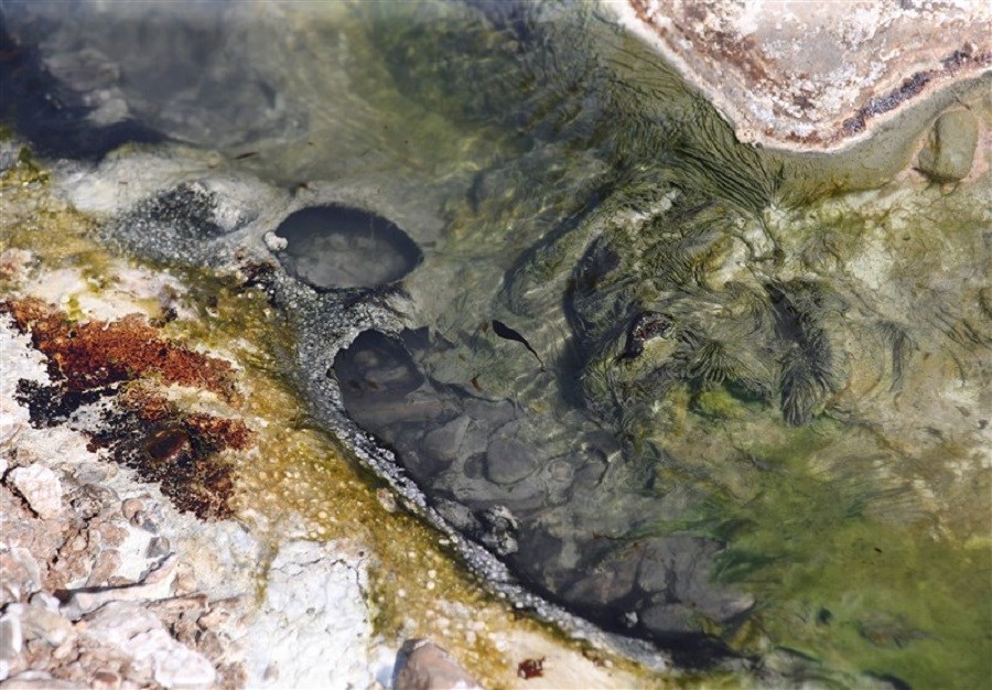تصویر پیدایش چشمه نفت در منطقه کرایی